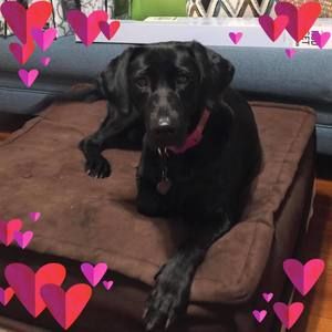 Meet your Posher, Melinda